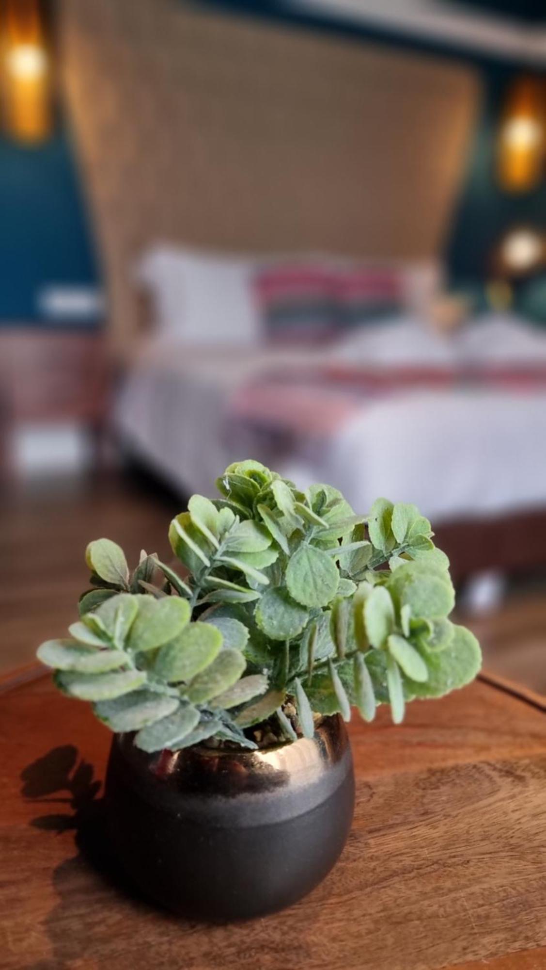 Acores Autentico Boutique Hotel Ангра-ду-Эроижму Экстерьер фото